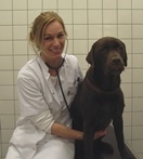 Dyrlæge Mette Schjærff arbejder med hudsygdomme hos hund og kat