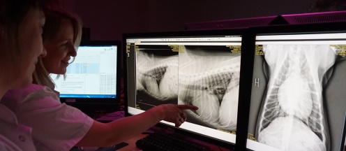 Universitetshospitalet - Billeddiagnostik