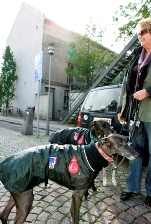 bloddonorer på vej til tapning